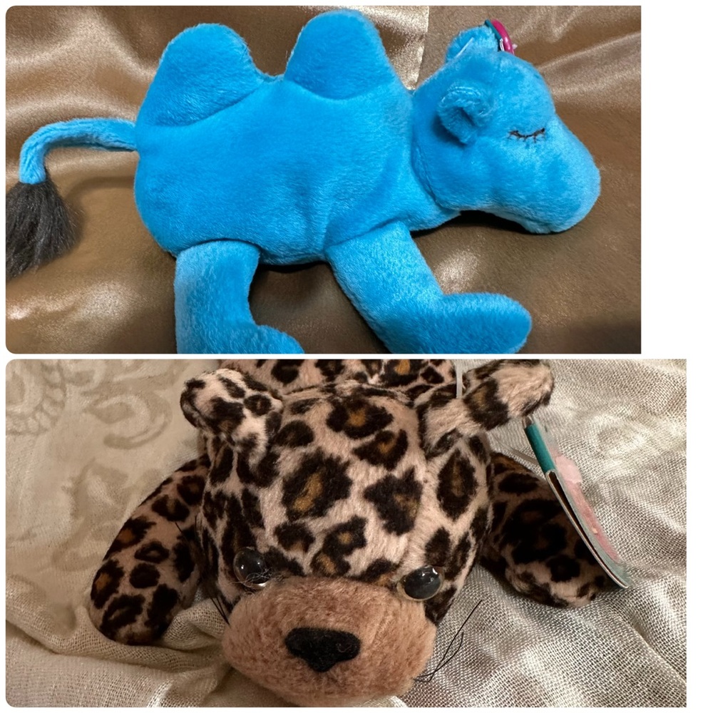 Two Full of Beans “Dune” the Camel and “Lenny “ the Leopard